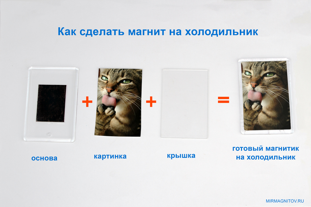 как сделать магнит с котом.jpg